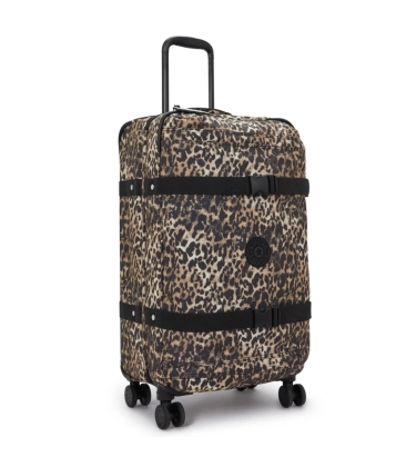 MALA KIPLING SPONTANEOUS M WILD LEOPARD ANIMAL PRINT