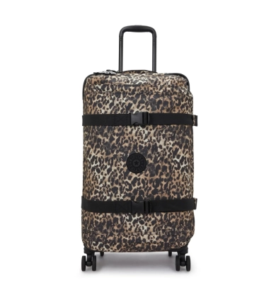 MALA KIPLING SPONTANEOUS M WILD LEOPARD ANIMAL PRINT