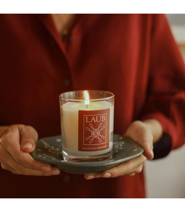 VELA AROMÁTICA COPO CLÁSSICO VIDRO MANDARINA ESPECIADA LAUB