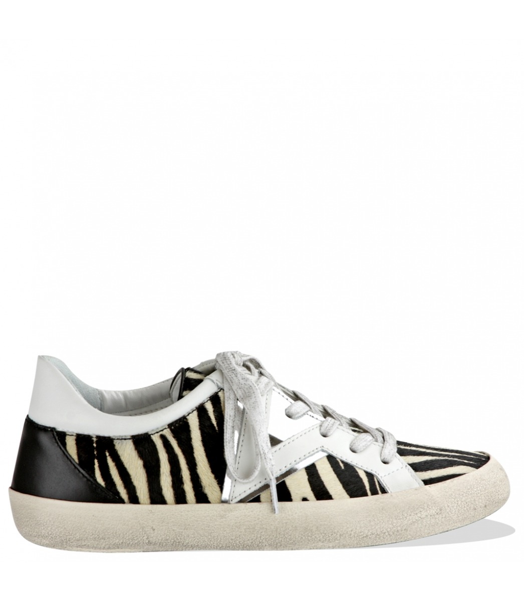 tenis zebra schutz